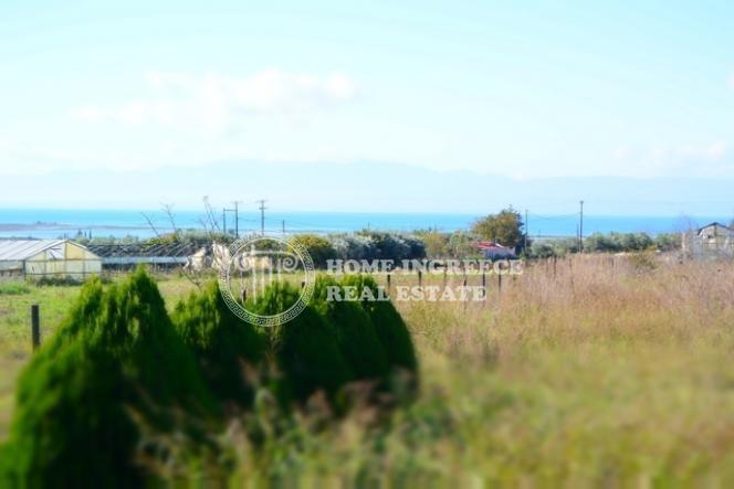 Αγροτεμάχια 2.500 τ.μ. πρός πώληση, Θεσσαλονίκη - Περιφ/Κοί Δήμοι, Μηχανιώνα