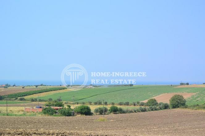 Αγροτεμάχια 5.000 τ.μ. πρός πώληση, Θεσσαλονίκη - Περιφ/Κοί Δήμοι, Επανομή
