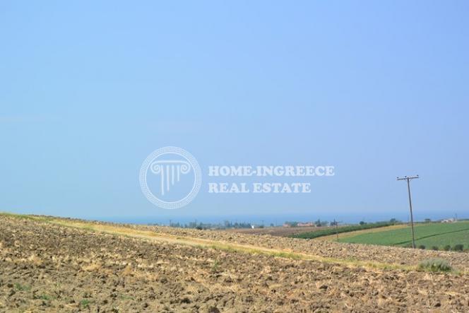 Αγροτεμάχια 5.000 τ.μ. πρός πώληση, Θεσσαλονίκη - Περιφ/Κοί Δήμοι, Επανομή