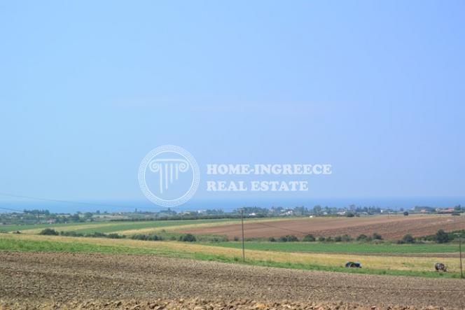 Αγροτεμάχια 5.000 τ.μ. πρός πώληση, Θεσσαλονίκη - Περιφ/Κοί Δήμοι, Επανομή