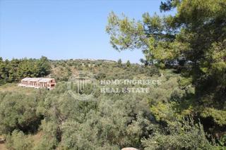 Βίλλα 360 τ.μ. για πώληση, Χαλκιδική, Κασσάνδρα-thumb-13