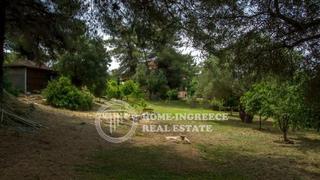Βίλλα 360 τ.μ. για πώληση, Χαλκιδική, Κασσάνδρα-thumb-17