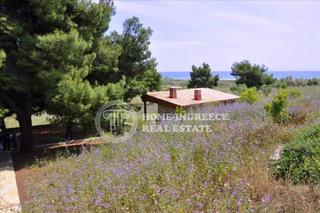 Βίλλα 300 τ.μ. για πώληση, Χαλκιδική, Ορμύλια-thumb-12