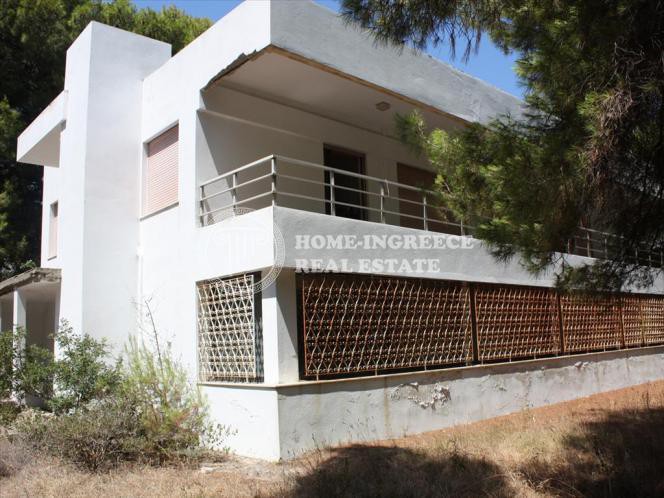 Μονοκατοικία 400τ.μ. για πώληση-Σιθωνία » Βουρβουρού