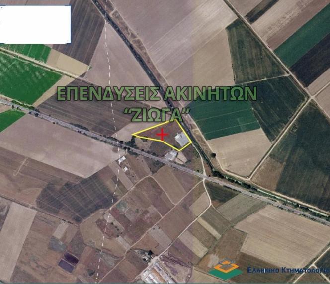 Parcel 10.000sqm for sale-Platikampos » Glafki