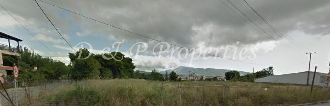 Οικόπεδο 6.700τ.μ. για πώληση-Άγιος στέφανος » Κέντρο