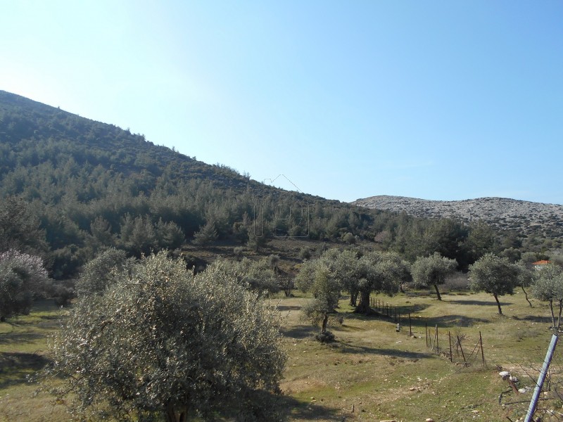 Parcel 7.485 sqm for sale, Kavala Prefecture, Thasos
