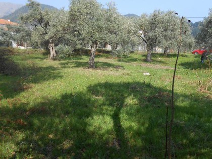 Land plot 941sqm for sale-Thasos » Potamia