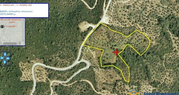 Parcel 17.000sqm for sale-Sipiada » Promiri