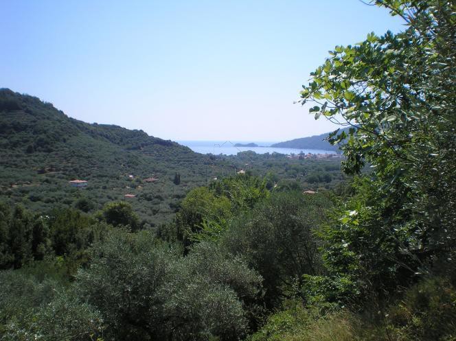 Parcel 11.700 sqm for sale, Kavala Prefecture, Thasos