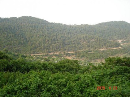 Land plot 194sqm for sale-Thasos » Panagia