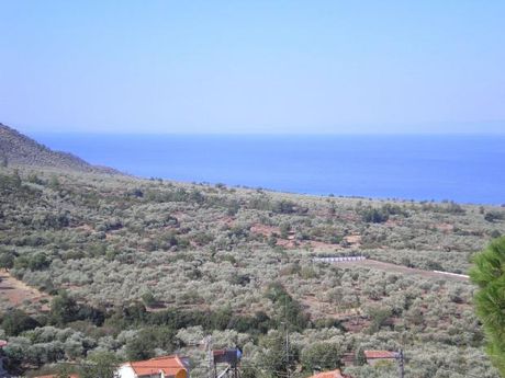 Μονοκατοικία 110τ.μ. για πώληση-Θάσος » Καλλιράχη