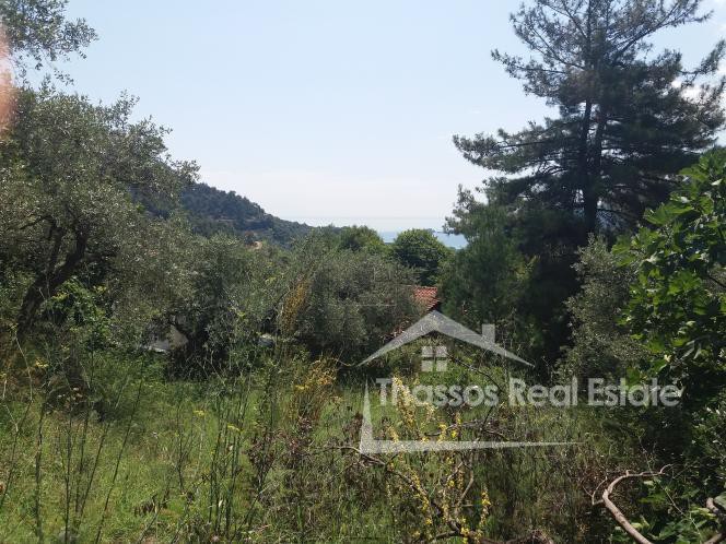 Οικόπεδο 400τ.μ. για πώληση-Θάσος » Παναγιά