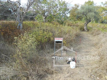 Land plot 904sqm for sale-Thasos » Center