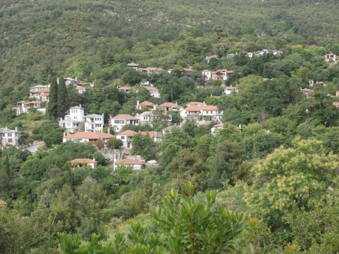 Αγροτεμάχια 9.690τ.μ. για πώληση-Θάσος » Μεγάλος πρίνος
