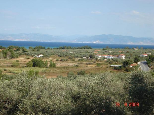 Parcel 16.089 sqm for sale, Kavala Prefecture, Thasos