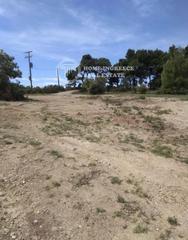 Αγροτεμάχια 5.800 τ.μ. πρός πώληση, Χαλκιδική, Κασσάνδρα-thumb-3