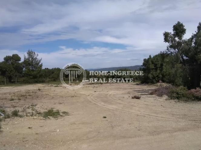 Αγροτεμάχια 5.800 τ.μ. πρός πώληση, Χαλκιδική, Κασσάνδρα