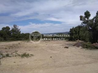 Αγροτεμάχια 5.800 τ.μ. πρός πώληση, Χαλκιδική, Κασσάνδρα-thumb-4