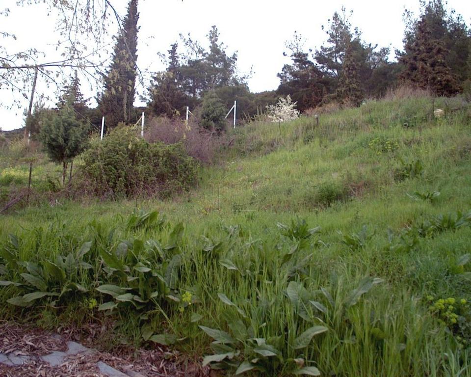 Οικόπεδο 252 τ.μ. πρός πώληση, Χαλκιδική, Ανθεμούντας