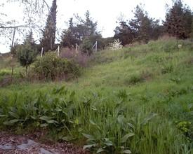 Οικόπεδο 252 τ.μ. για πώληση, Χαλκιδική, Ανθεμούντας-thumb-2