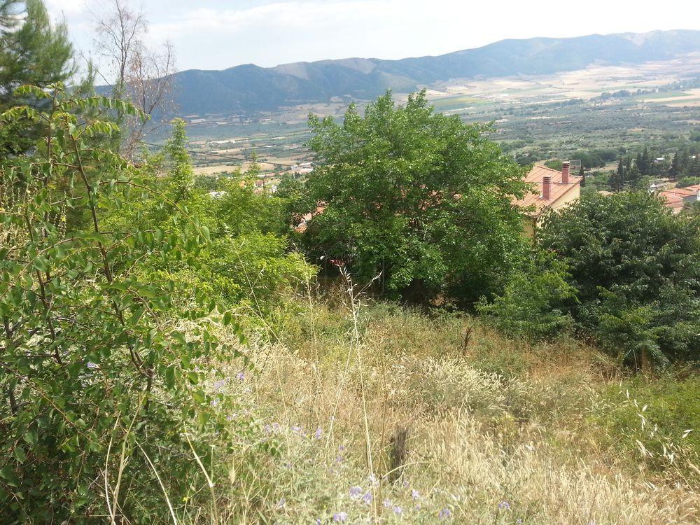 Οικόπεδο 252 τ.μ. πρός πώληση, Χαλκιδική, Ανθεμούντας