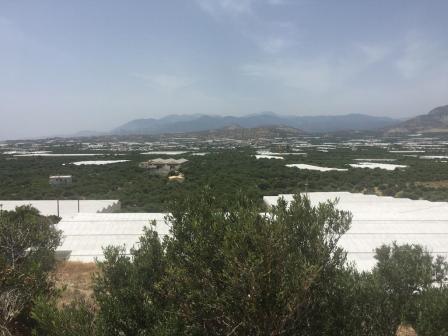 Οικόπεδο 3.000 τ.μ. προς πώληση, Βαϊνιά