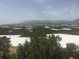 Οικόπεδο 3.000 τ.μ. προς πώληση, Βαϊνιά-thumb-1