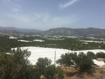 Οικόπεδο 3.000 τ.μ. προς πώληση, Βαϊνιά