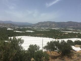 Οικόπεδο 3.000 τ.μ. προς πώληση, Βαϊνιά-thumb-2