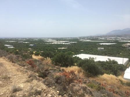 Οικόπεδο 3.000 τ.μ. προς πώληση, Βαϊνιά