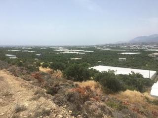 Οικόπεδο 3.000 τ.μ. προς πώληση, Βαϊνιά-thumb-3
