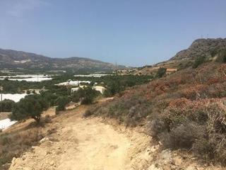Οικόπεδο 3.000 τ.μ. προς πώληση, Βαϊνιά-thumb-7