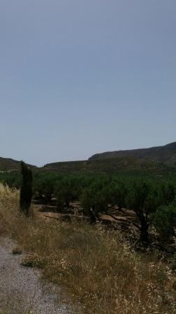 Οικόπεδο 11.611τ.μ. για πώληση-Σητεία » Ανάλουκας