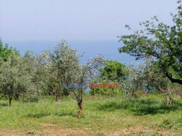 Αγροτεμάχια 8.180 τ.μ. πρός πώληση, Ν. Λάρισας, Ευρύμενο