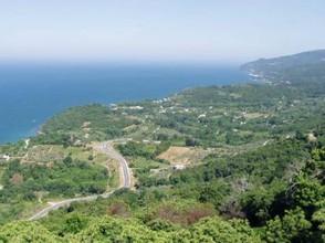Αγροτεμάχια 8.180 τ.μ. προς πώληση, Καρίτσα Ευρυμένου-thumb-2