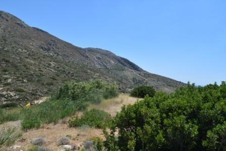 Οικόπεδο 35.000 τ.μ. προς πώληση, Μακρύς Γιαλός Λασιθίου