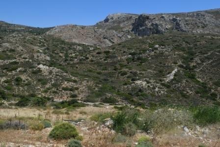 Οικόπεδο 35.000 τ.μ. προς πώληση, Μακρύς Γιαλός Λασιθίου