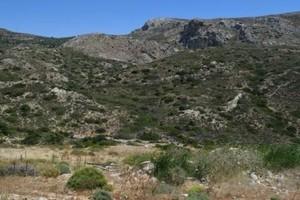 Οικόπεδο 35.000 τ.μ. προς πώληση, Μακρύς Γιαλός Λασιθίου-thumb-2