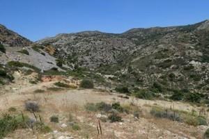 Οικόπεδο 35.000 τ.μ. προς πώληση, Μακρύς Γιαλός Λασιθίου-thumb-6