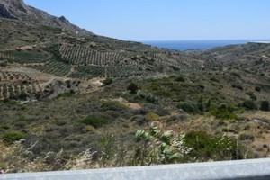 Οικόπεδο 35.000 τ.μ. προς πώληση, Μακρύς Γιαλός Λασιθίου-thumb-8