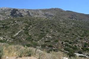 Οικόπεδο 35.000 τ.μ. προς πώληση, Μακρύς Γιαλός Λασιθίου-thumb-9