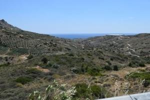 Οικόπεδο 35.000 τ.μ. προς πώληση, Μακρύς Γιαλός Λασιθίου-thumb-10