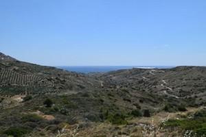 Οικόπεδο 35.000 τ.μ. προς πώληση, Μακρύς Γιαλός Λασιθίου-thumb-11