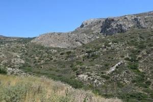 Οικόπεδο 35.000 τ.μ. προς πώληση, Μακρύς Γιαλός Λασιθίου-thumb-14