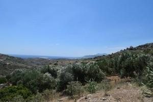 Οικόπεδο 35.000 τ.μ. προς πώληση, Μακρύς Γιαλός Λασιθίου-thumb-15