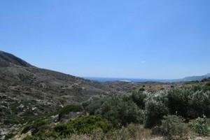 Οικόπεδο 35.000 τ.μ. προς πώληση, Μακρύς Γιαλός Λασιθίου-thumb-16