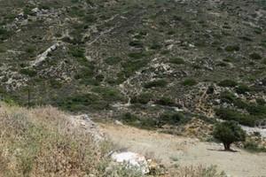 Οικόπεδο 35.000 τ.μ. προς πώληση, Μακρύς Γιαλός Λασιθίου-thumb-17