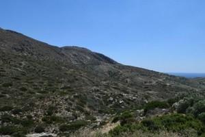 Οικόπεδο 35.000 τ.μ. προς πώληση, Μακρύς Γιαλός Λασιθίου-thumb-18