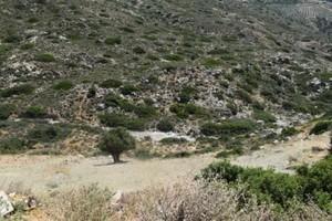 Οικόπεδο 35.000 τ.μ. προς πώληση, Μακρύς Γιαλός Λασιθίου-thumb-22